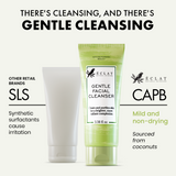 Gentle Facial Cleanser - Eclat